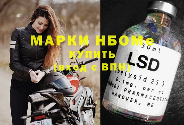 стафф Алзамай