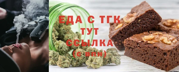соль ск Новозыбков