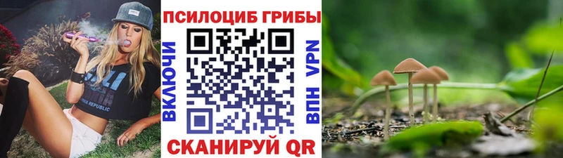 дарнет шоп  Юрьевец  Галлюциногенные грибы Magic Shrooms 